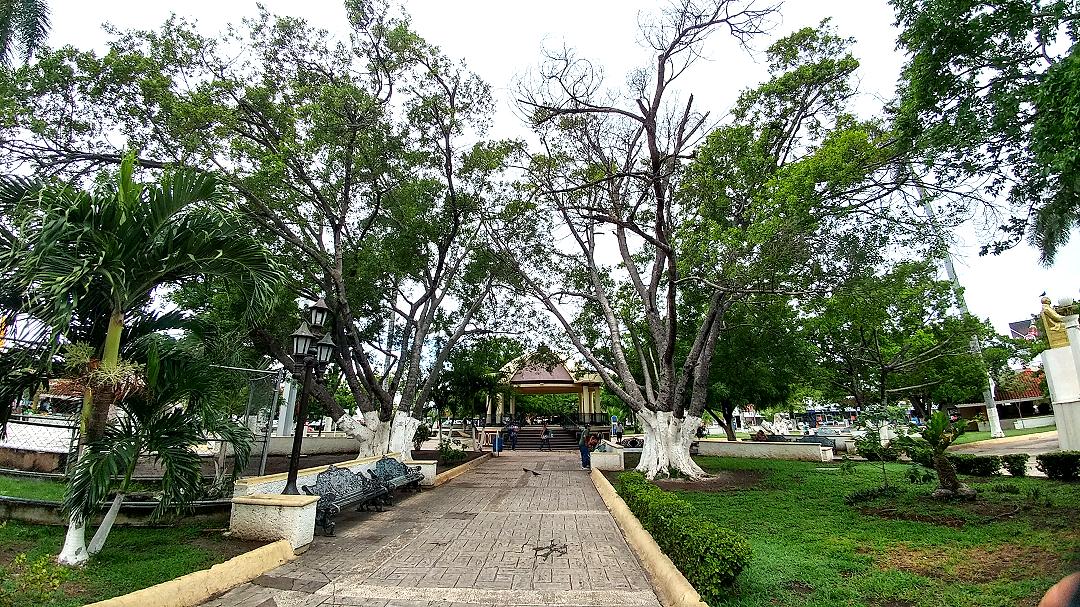 arb3