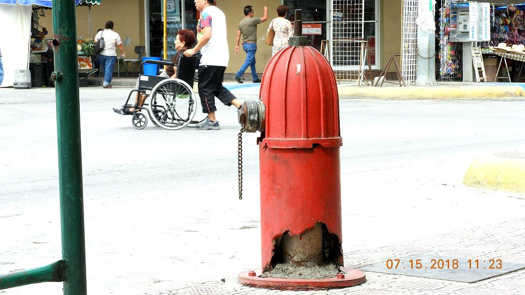 bom1