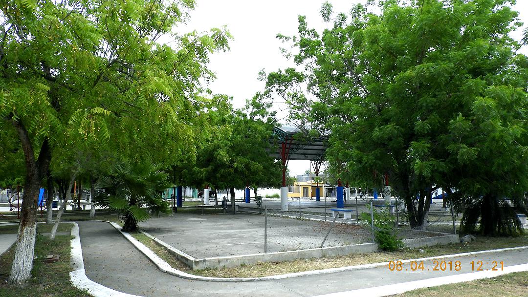 can7