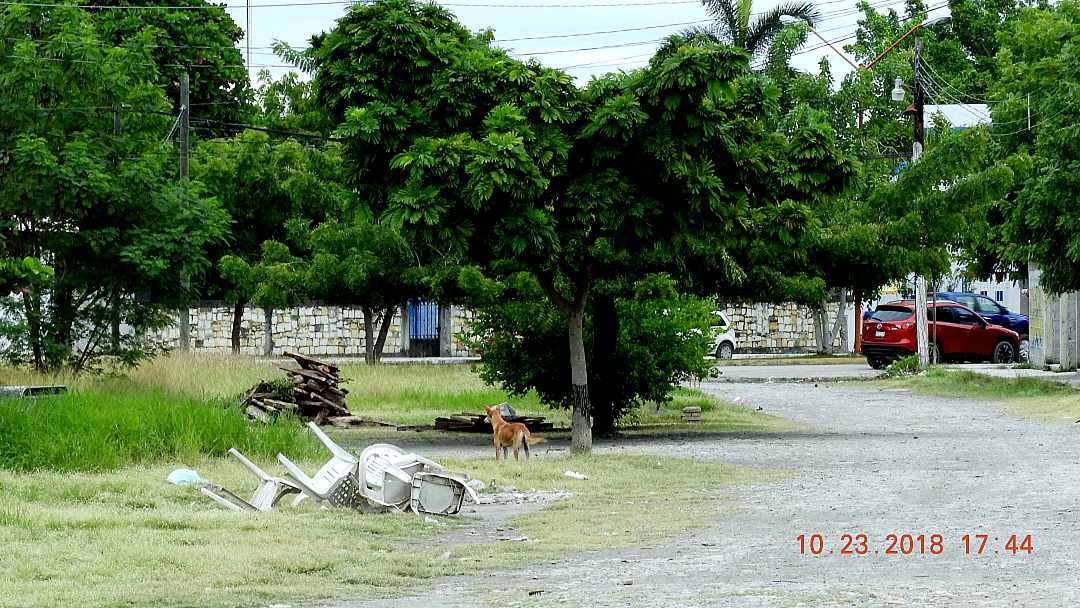 calle1