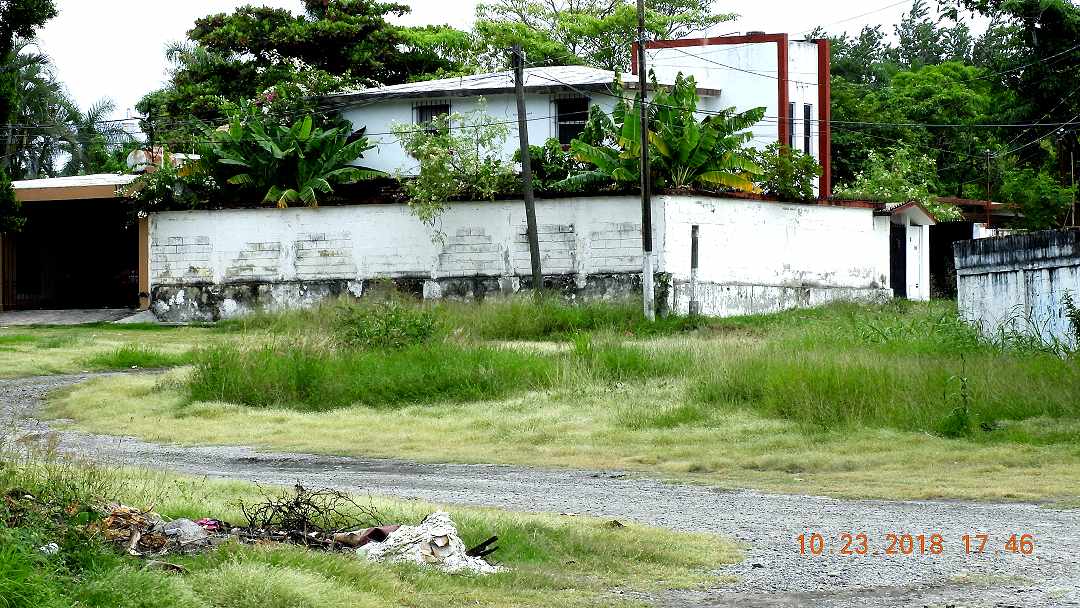 calle6