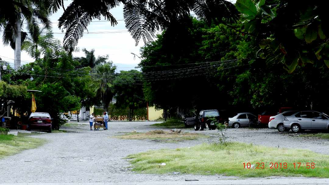 calle8