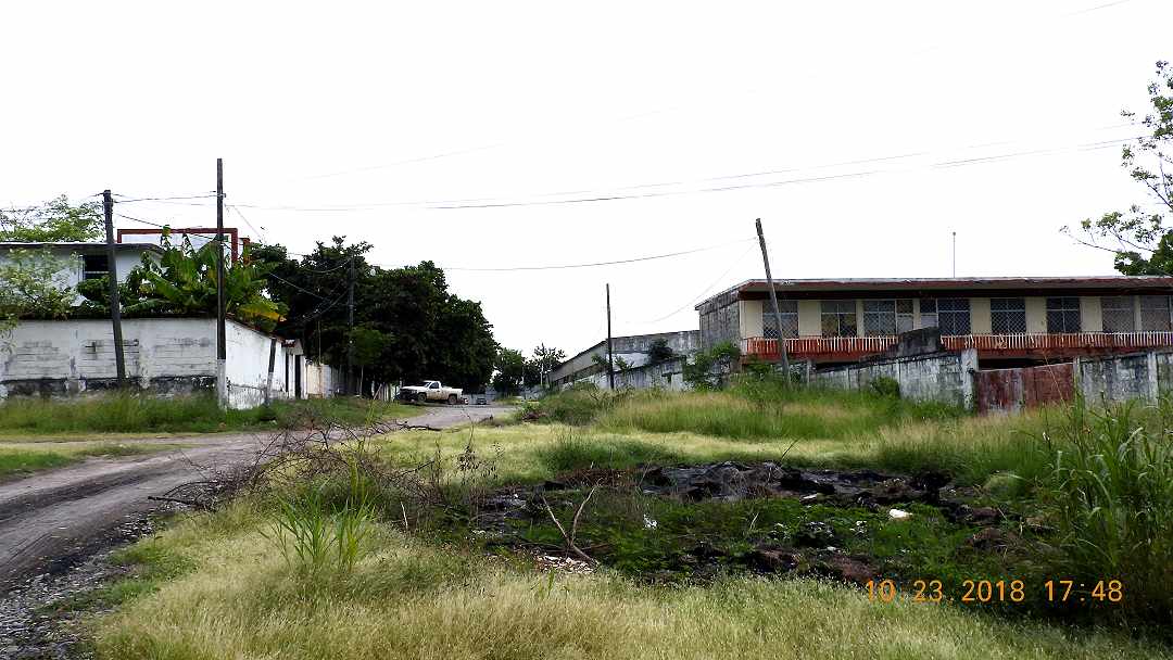 calle9